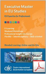 Flyer CIFE Executive Master Online Learning